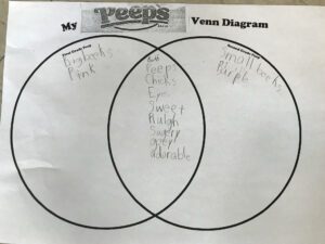 Peep Venn Diagram Work