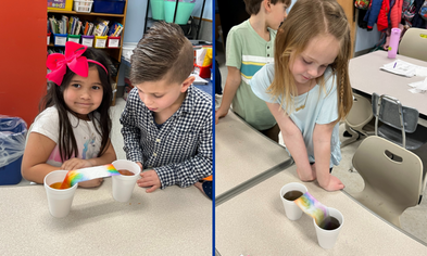 PICTURES: Growing Rainbows in 1st Grade!